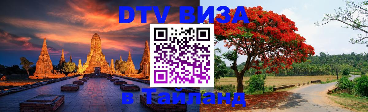 Сколько стоит DTV виза — актуальные цены, оформление даже без документов - Евпатория 